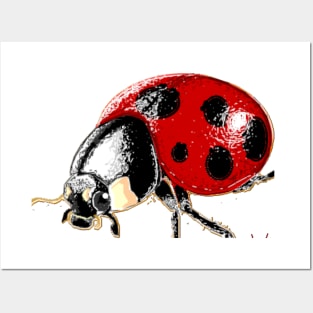 ladybug Posters and Art